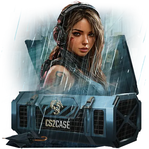 case preview