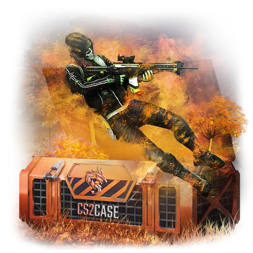 case preview