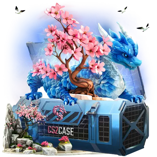 case preview