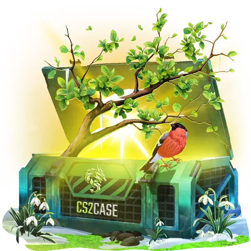 case preview